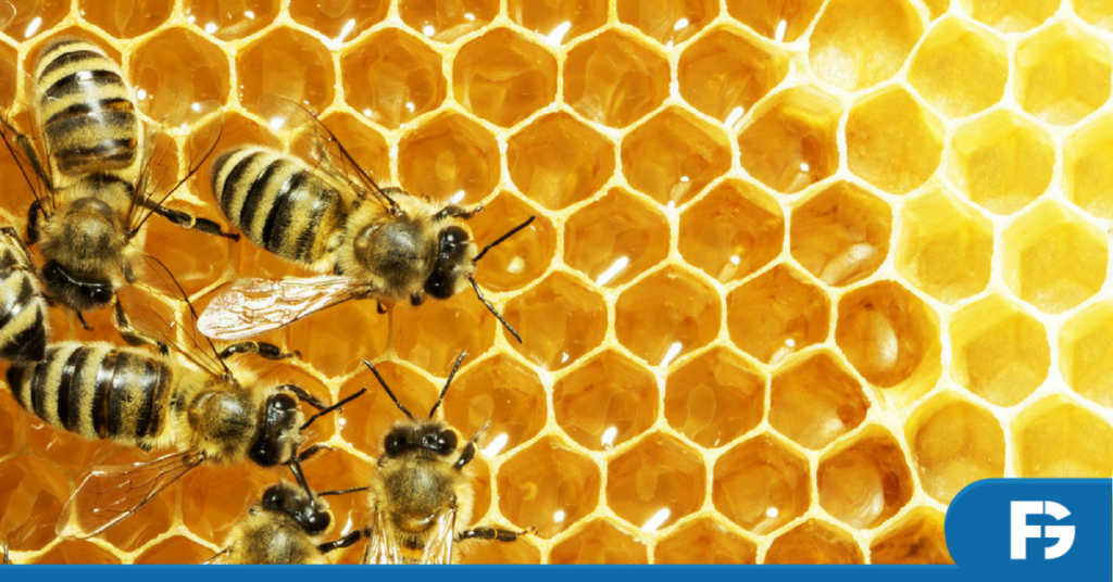 alergia-abelha-soro